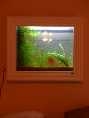 Picture tank 3